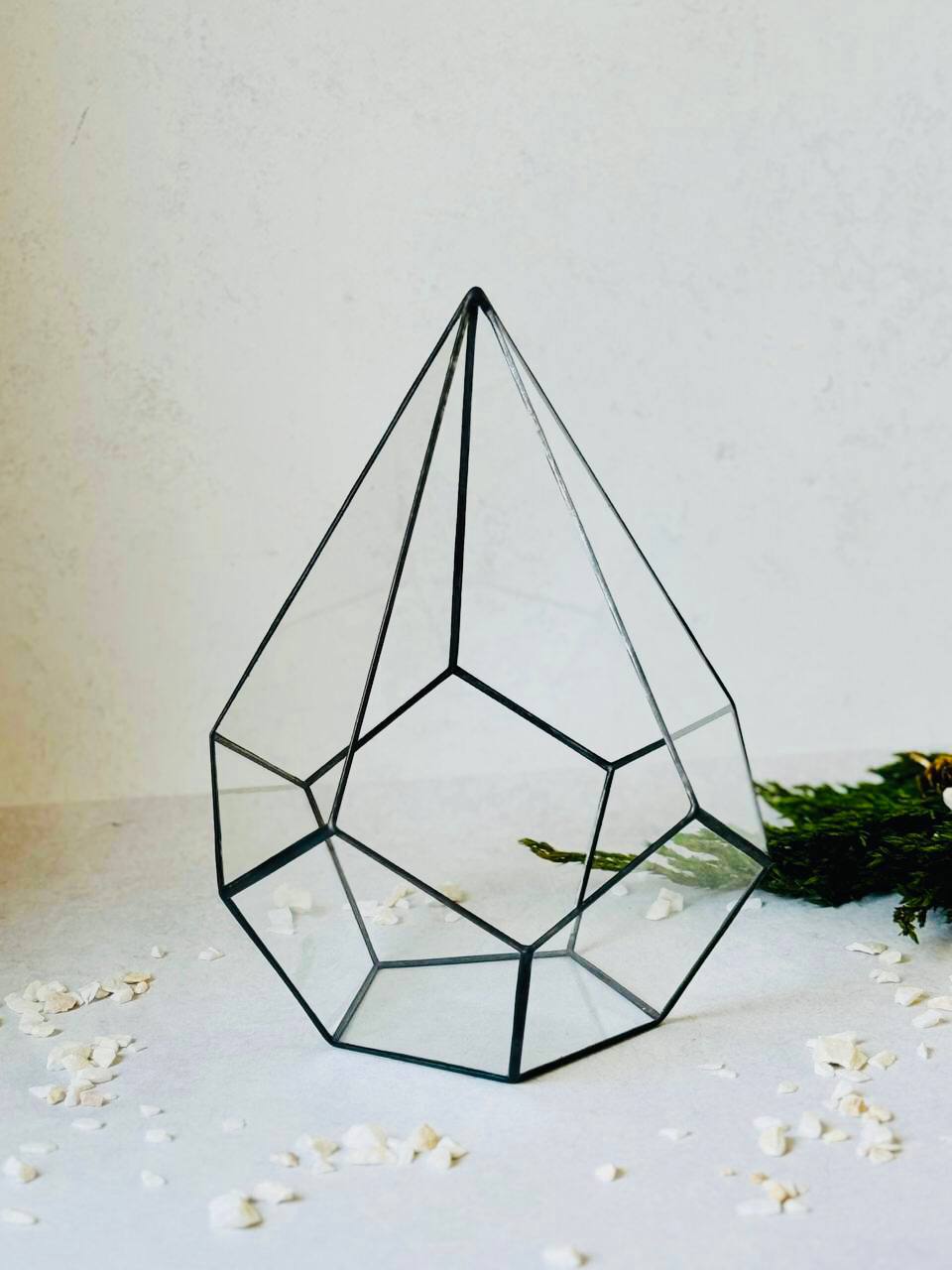 Флораріуми Velvet Noire