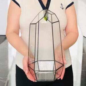 Флораріум Айсберг геометричної форми з італійського скла