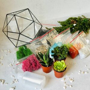 Набір «Живий флораріум своїми руками» — Ікосаєдр 16 см