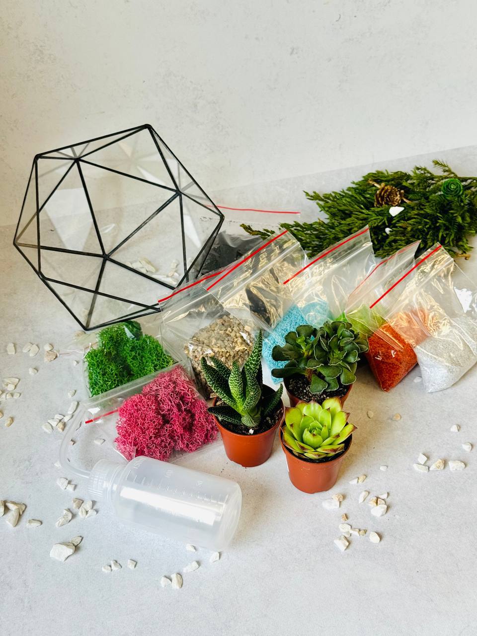 Набір «Живий флораріум своїми руками» — Ікосаєдр 16 см