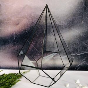 Відкрита краплеподібна форма, що додає інтер’єру легкості та повітря. Пустий флораріум для рослинних і декоративних композицій. Доставка по Україні та за кордон.