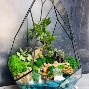 Флораріум з деревом Бонсай та декоративними слонами Magic Day