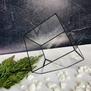 Флораріум Куб геометричної форми з італійського скла