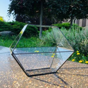 Флораріум Кошик декоративної форми з італійського скла