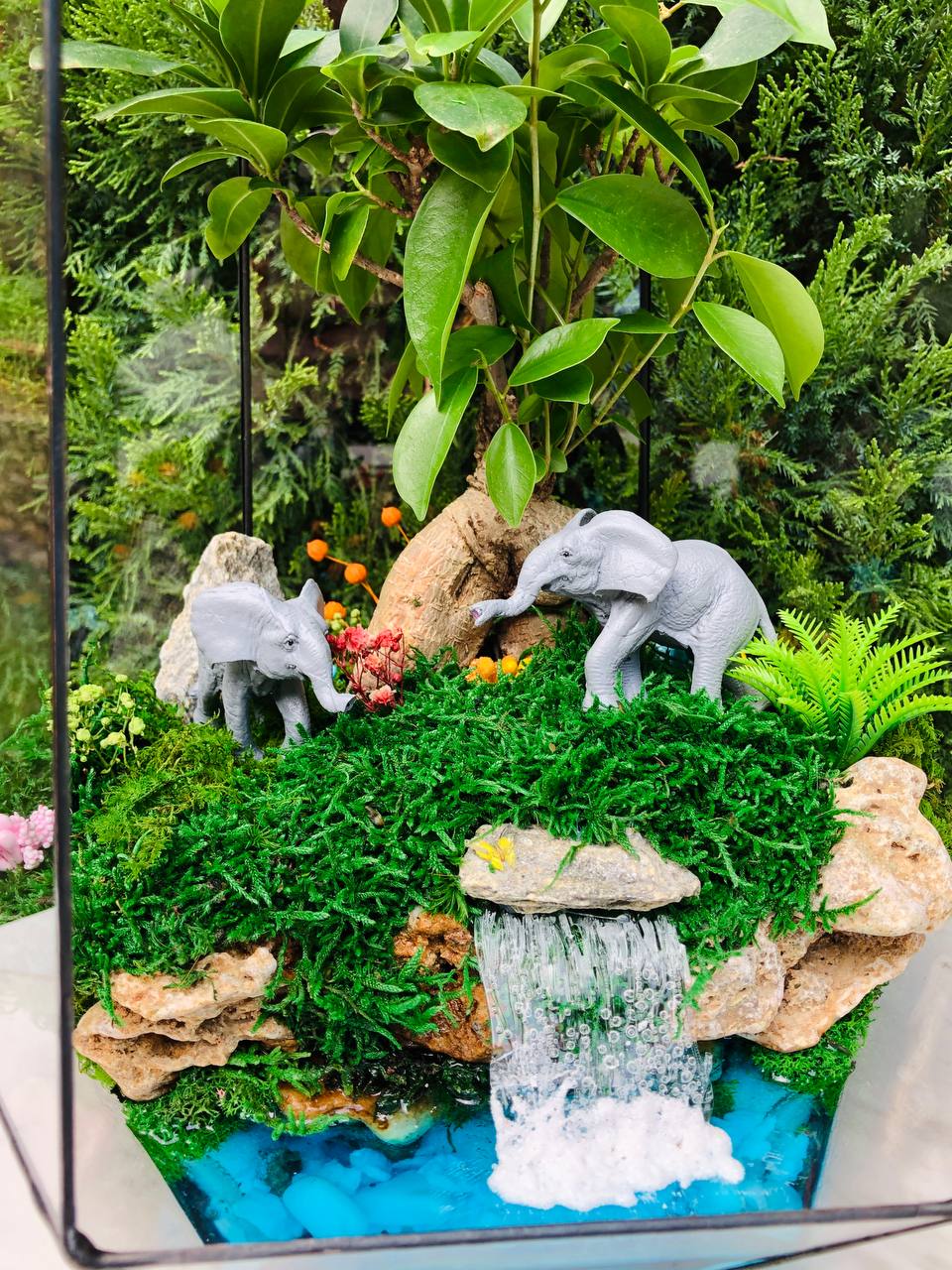 Живий флораріум з Бонсай та стабілізованим мохом Sunny day