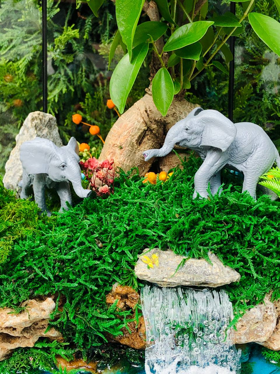 Флораріум з живим деревом Бонсай Sunny day 45×27 см