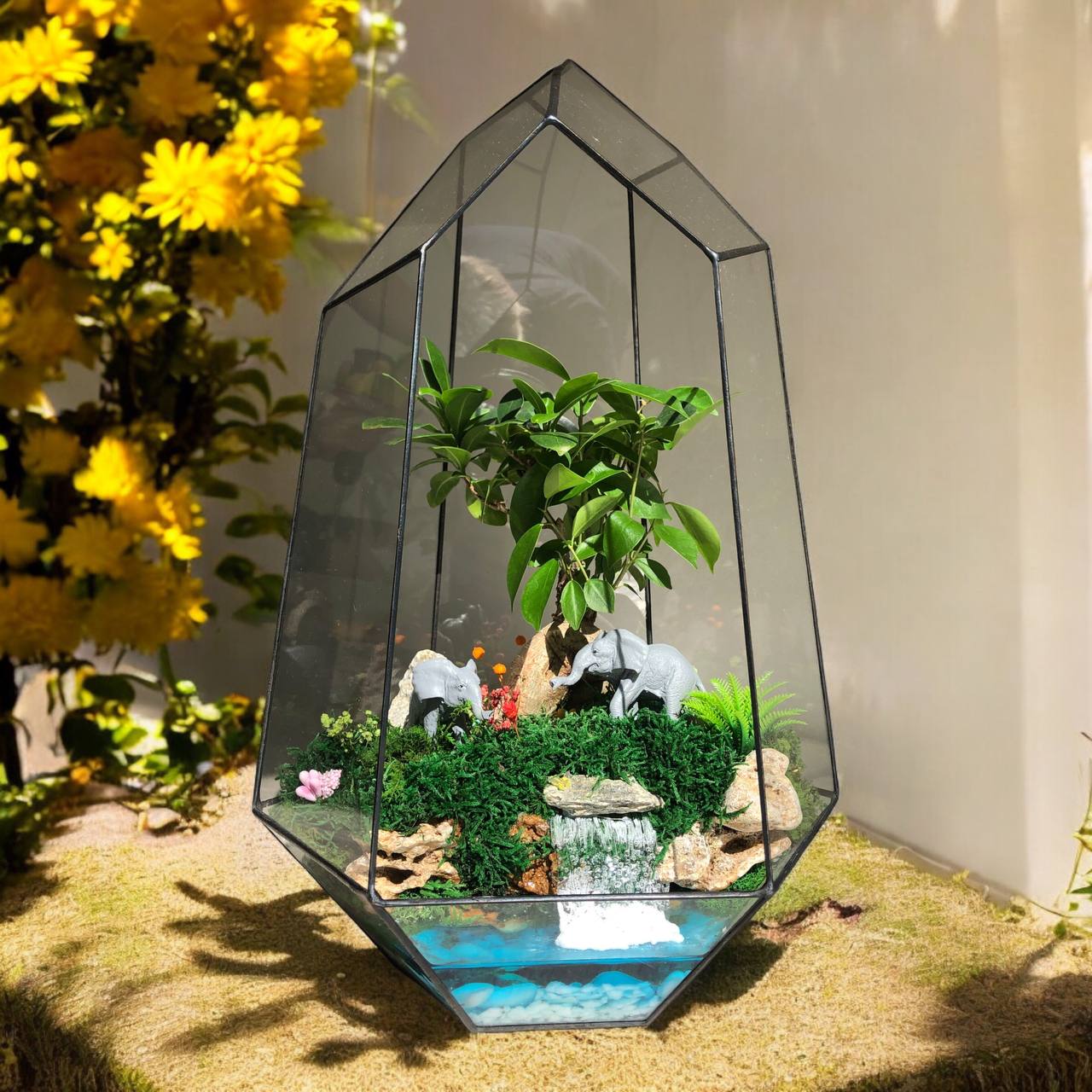 Флораріум Sunny day з деревом Бонсай ручної роботи
