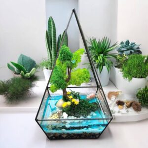 Флораріум «Черепаший острів» зі стабілізованим мохом 25×15 см
