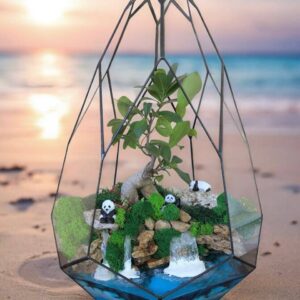 флораріум Green Planet з живим деревом Бонсай ручної роботи