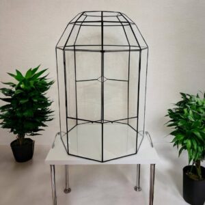 Флораріум TERA 50×35 см із дверцятами на широкій поверхні