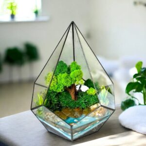 Флораріум зі стабілізованим мохом «Солодкий сон» 29×23 см